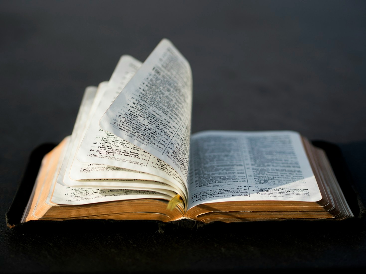 5 Ways Bible Studies Strengthen Your Faith