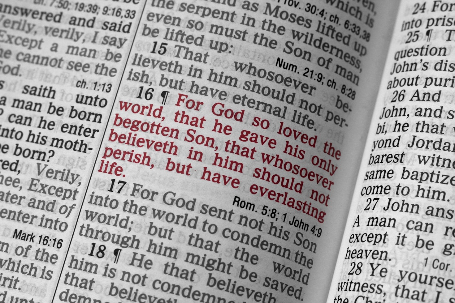 Understanding Scripture: A Beginner’s Guide
