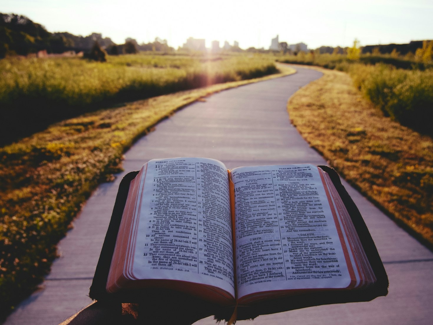 Transform Your Life with Daily Bible Study